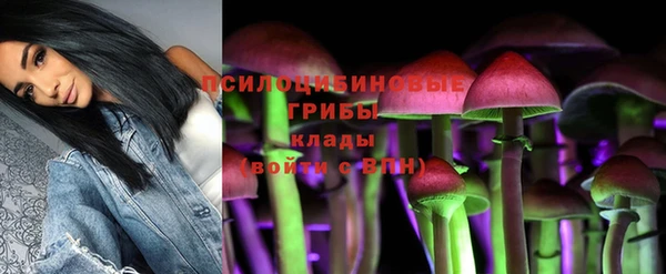 мдпв Бородино
