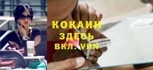 мдпв Бородино