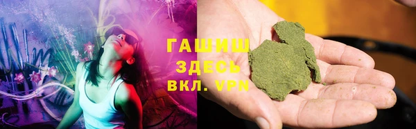 мдпв Бородино