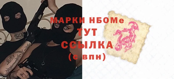 мдпв Бородино