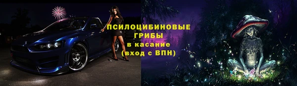 мдпв Бородино
