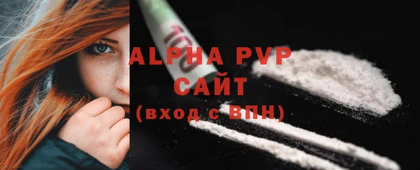 мдпв Бородино