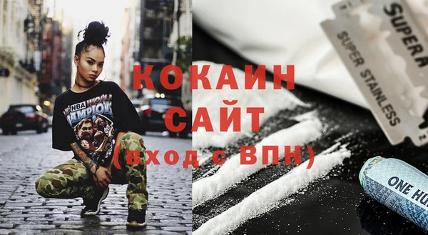 мдпв Бородино