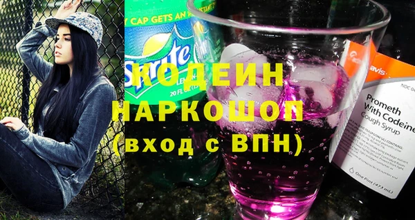мдпв Бородино