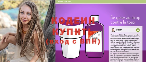мдпв Бородино