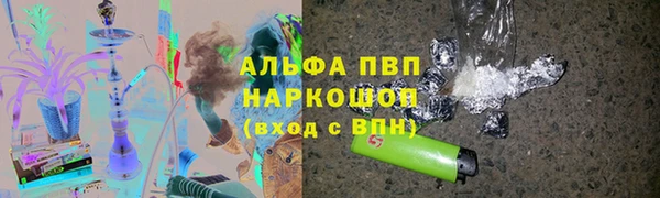 мдпв Бородино